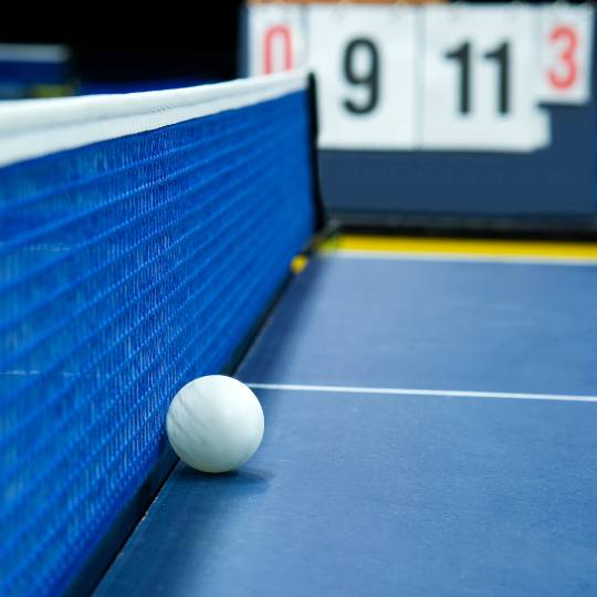 LA 2028 Summer Games - Table Tennis Preliminary Tickets - Jul 18, 2028 - TTE11