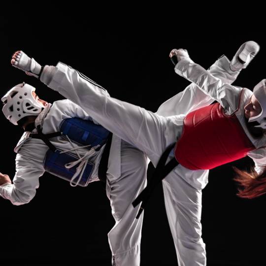 Taekwondo - Summer Games 2024 Tickets